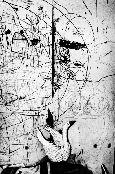 Jacob Aue Sobol “白骨之路” 作品之二